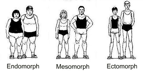 https://danibelweight.files.wordpress.com/2017/09/adult-fitness-endomorph-mesomorph-ectomorph-body-types.jpg